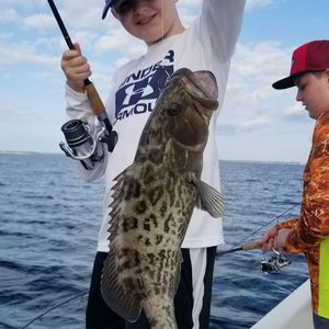 Meet your Posher, Dalis